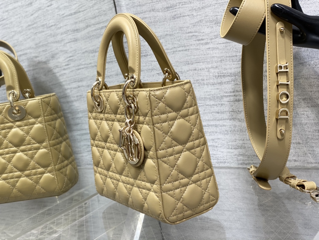 small lady D*or bag
