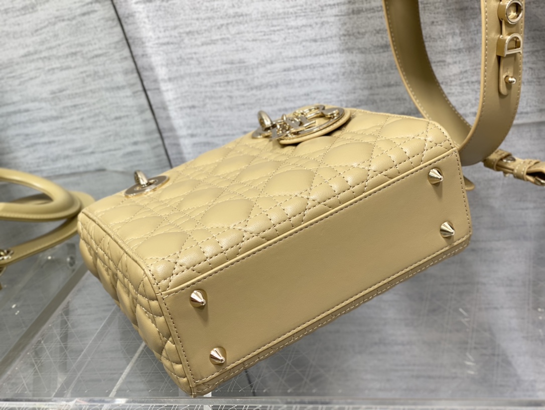 small lady D*or bag