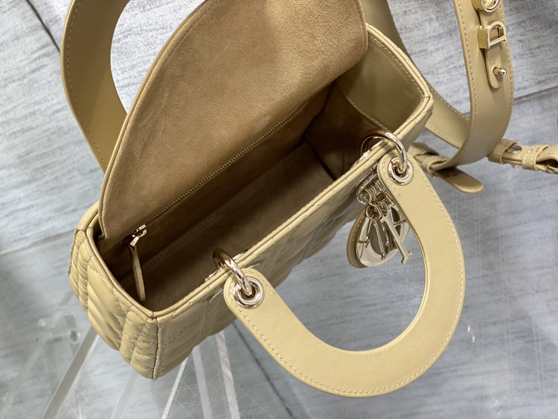 small lady D*or bag