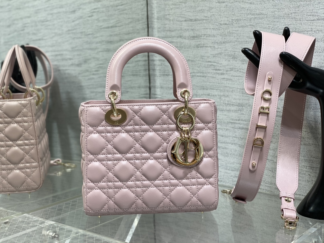 small lady D*or bag