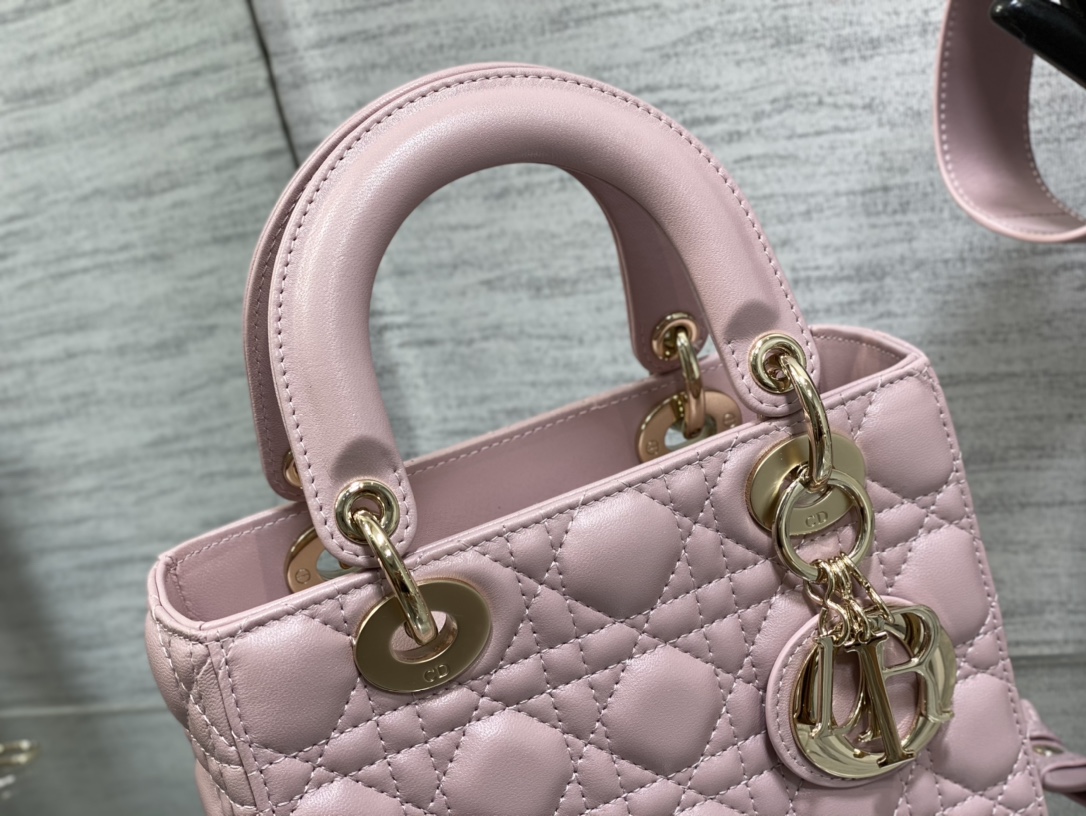 small lady D*or bag