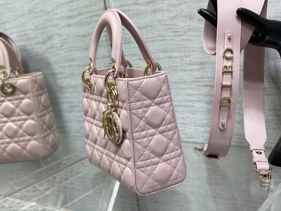 small lady D*or bag