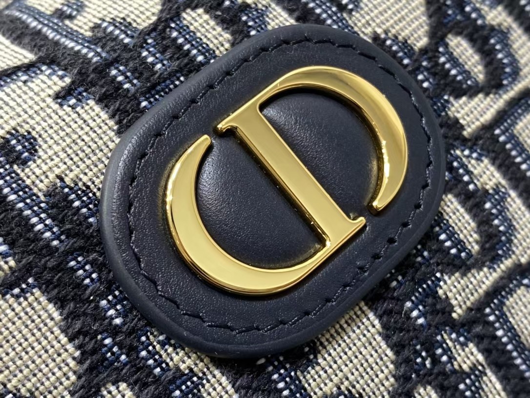 D*or 30 montaigne bag