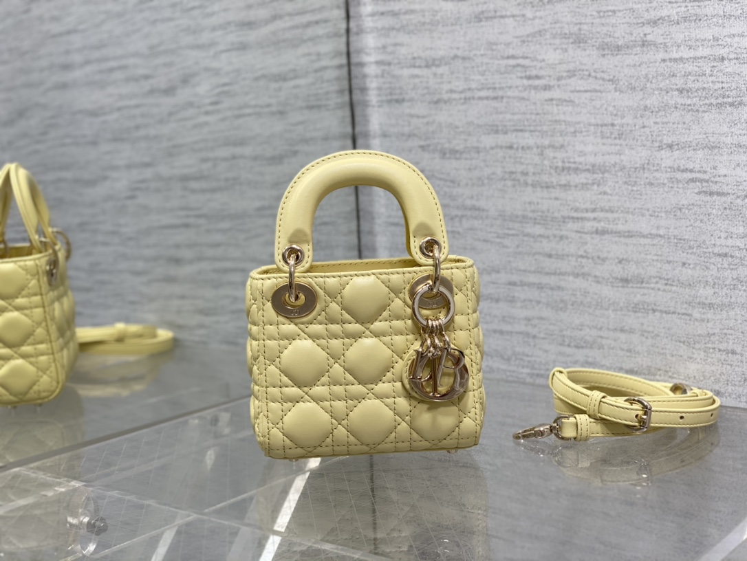 lady D*or micro bag