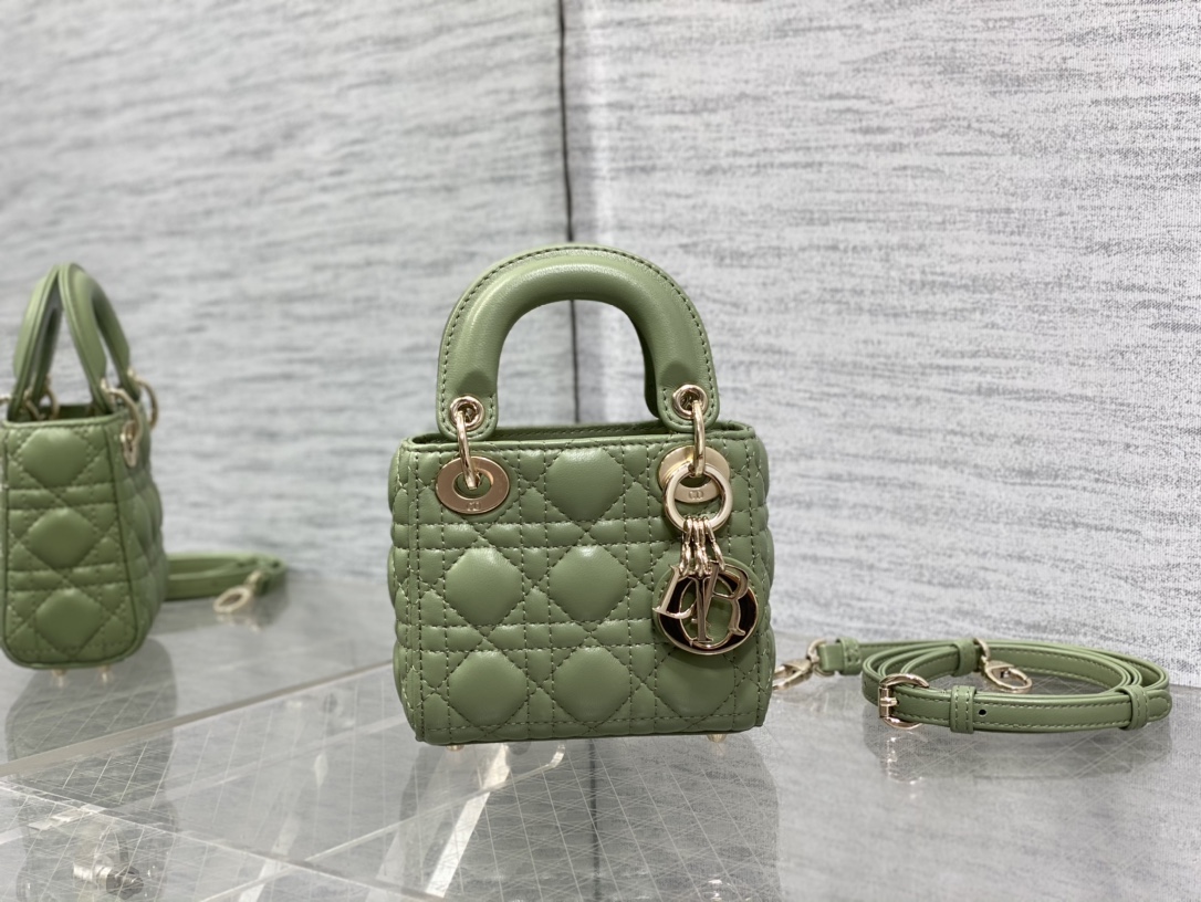 lady D*or micro bag