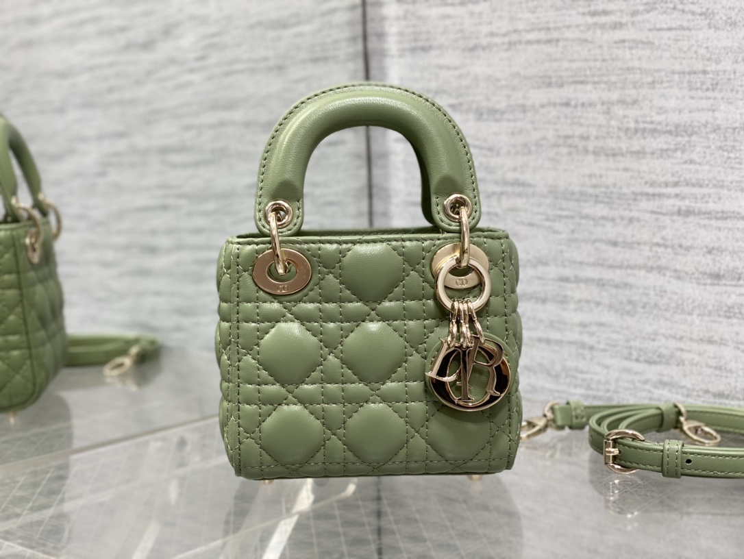 lady D*or micro bag