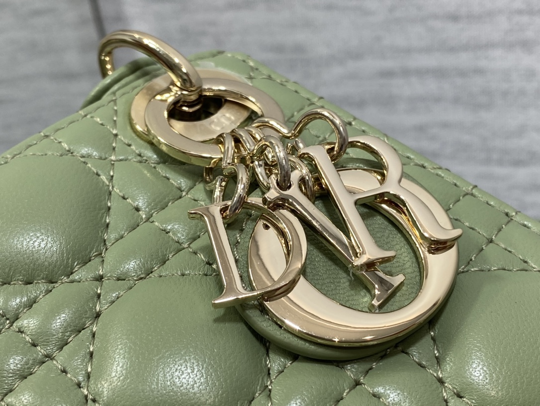 lady D*or micro bag