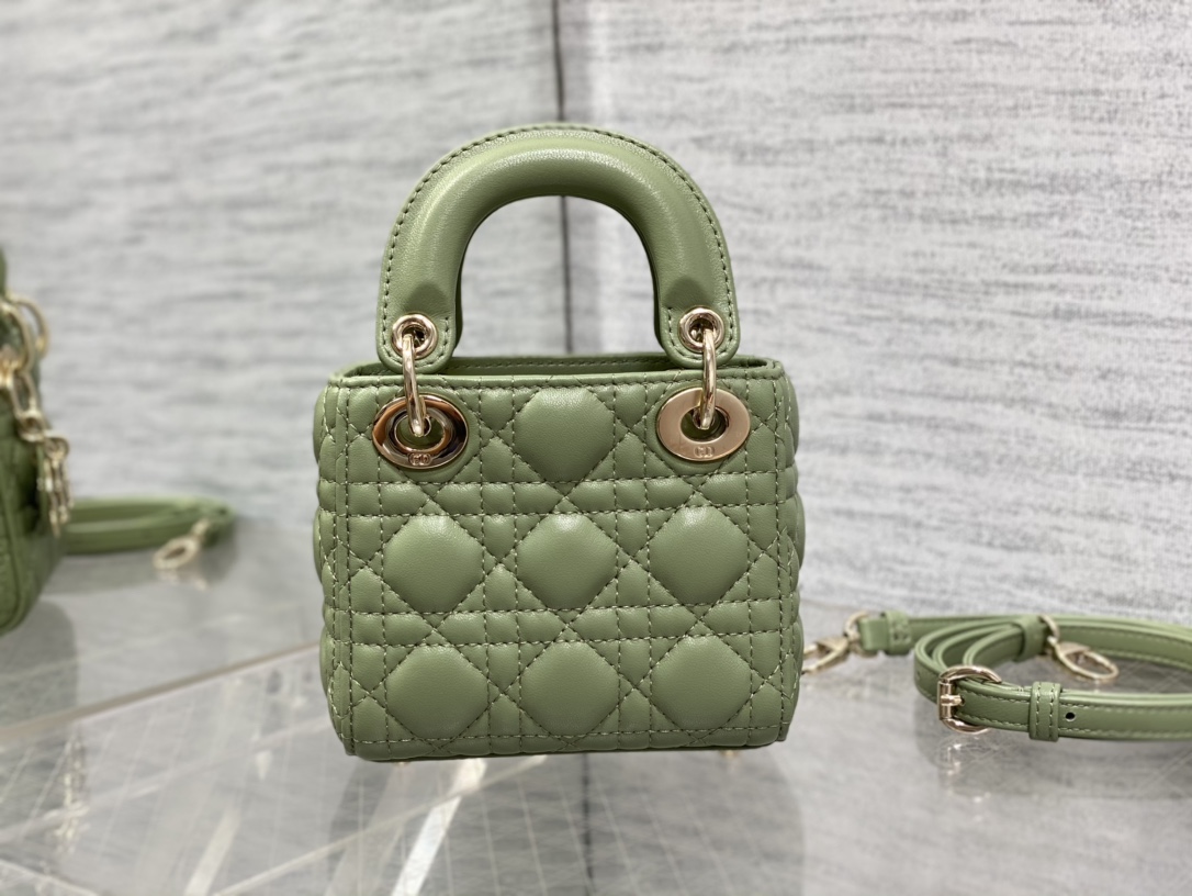 lady D*or micro bag