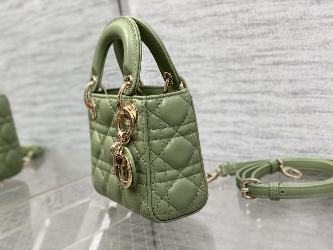lady D*or micro bag