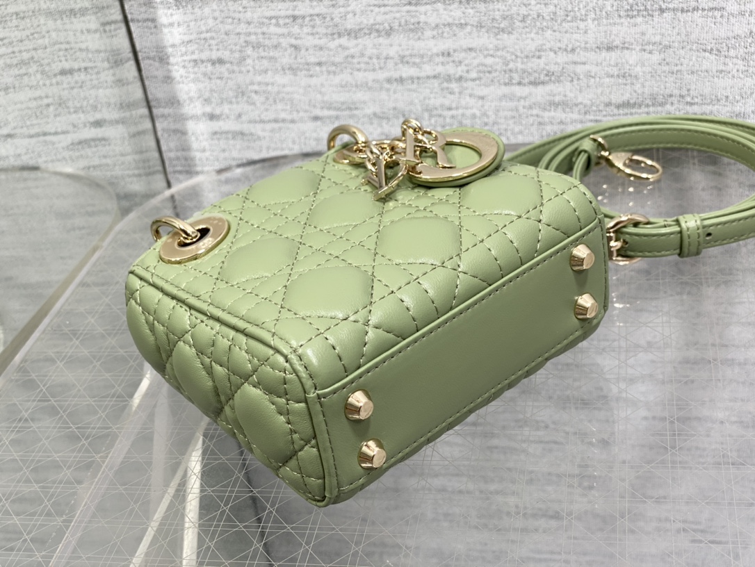 lady D*or micro bag