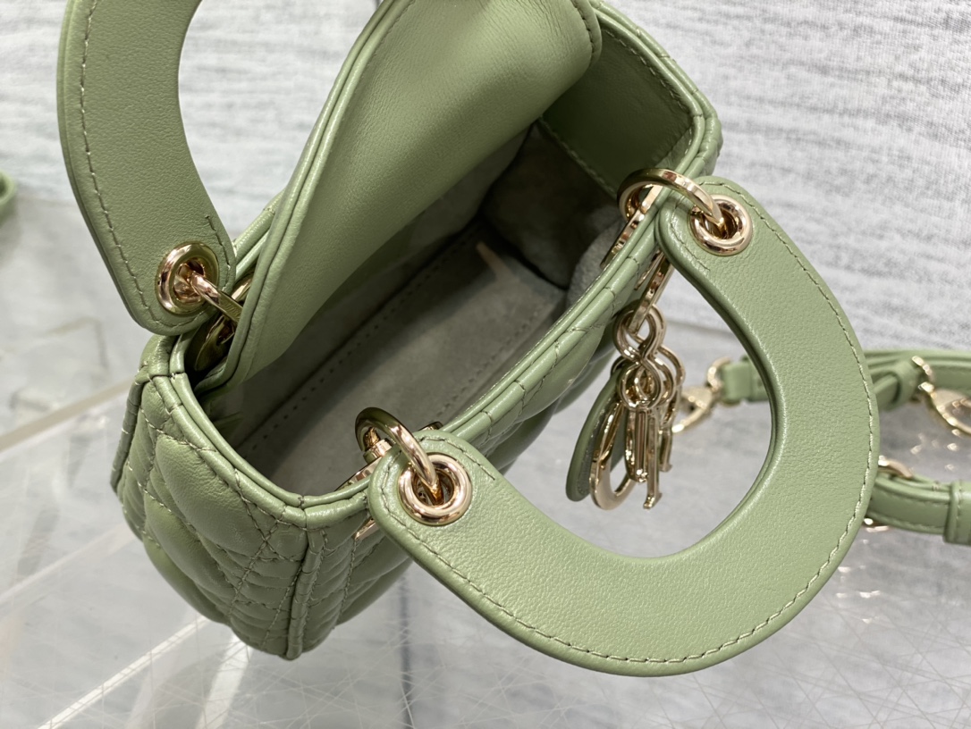 lady D*or micro bag