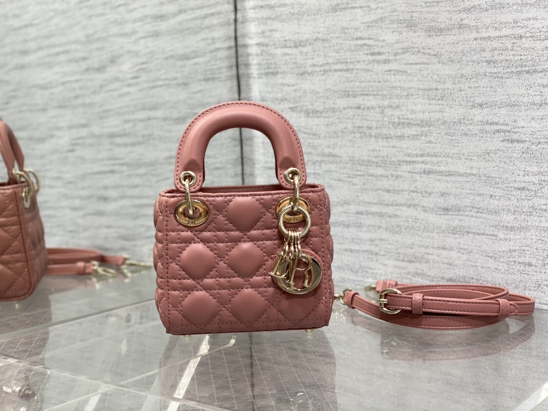 lady D*or micro bag