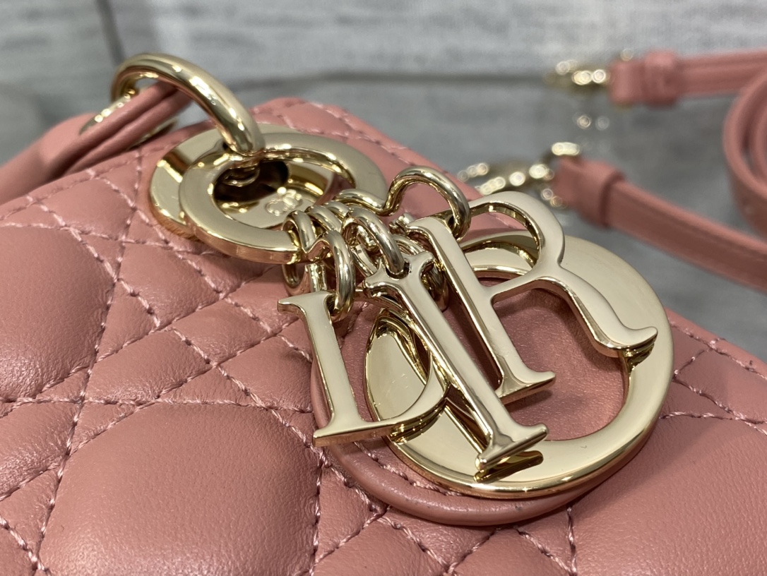 lady D*or micro bag