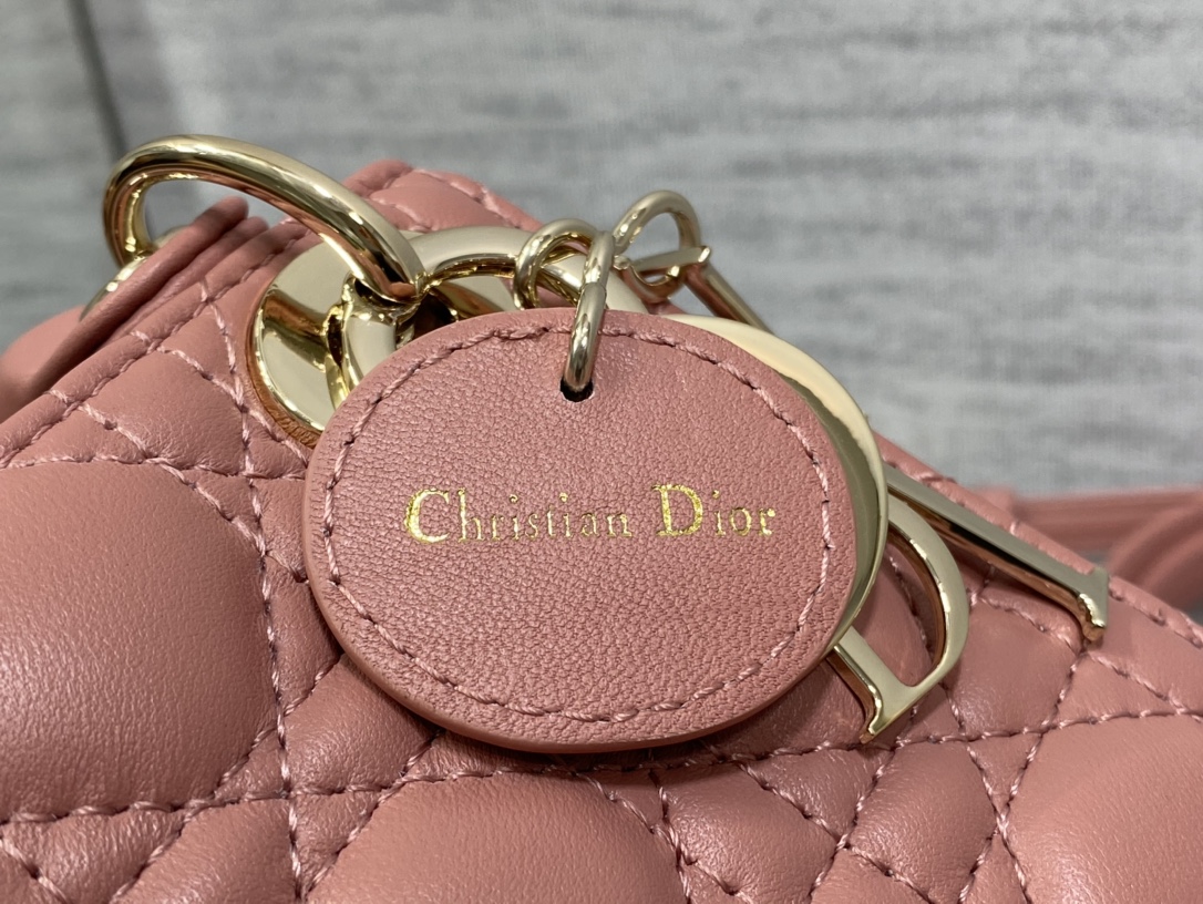 lady D*or micro bag