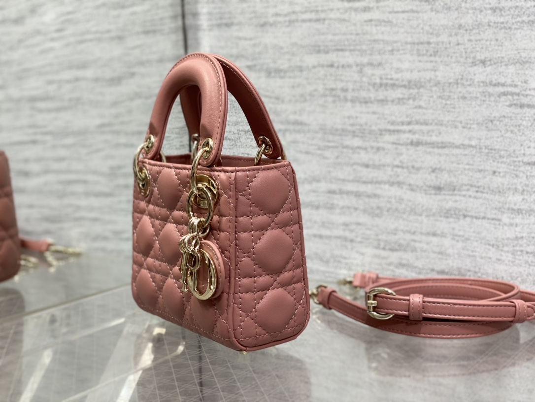 lady D*or micro bag