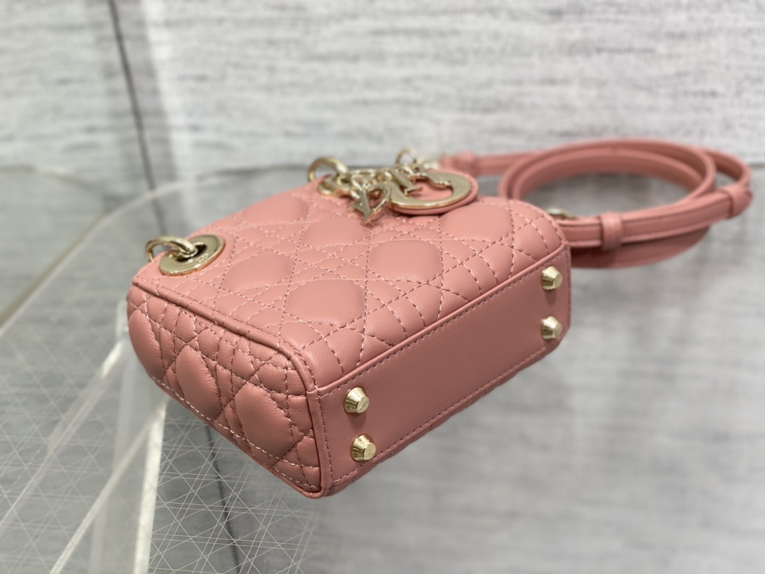 lady D*or micro bag