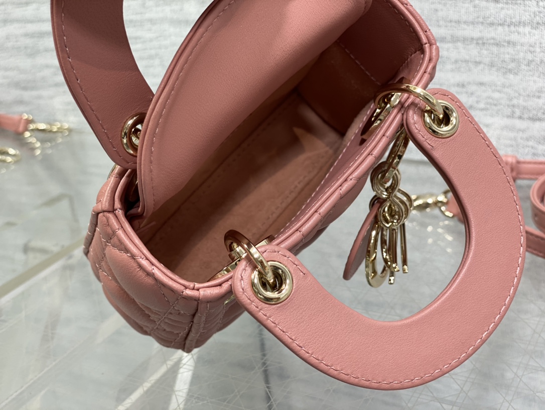lady D*or micro bag