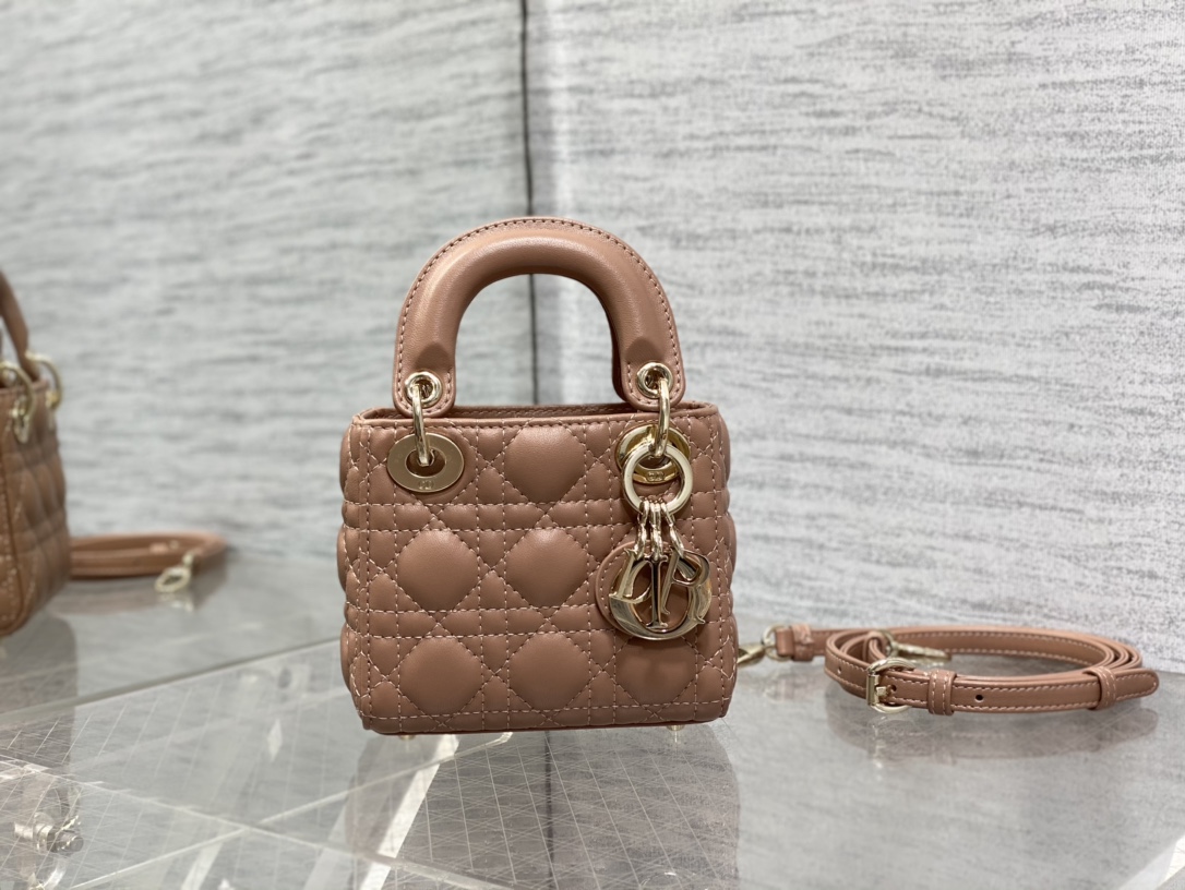 lady D*or micro bag