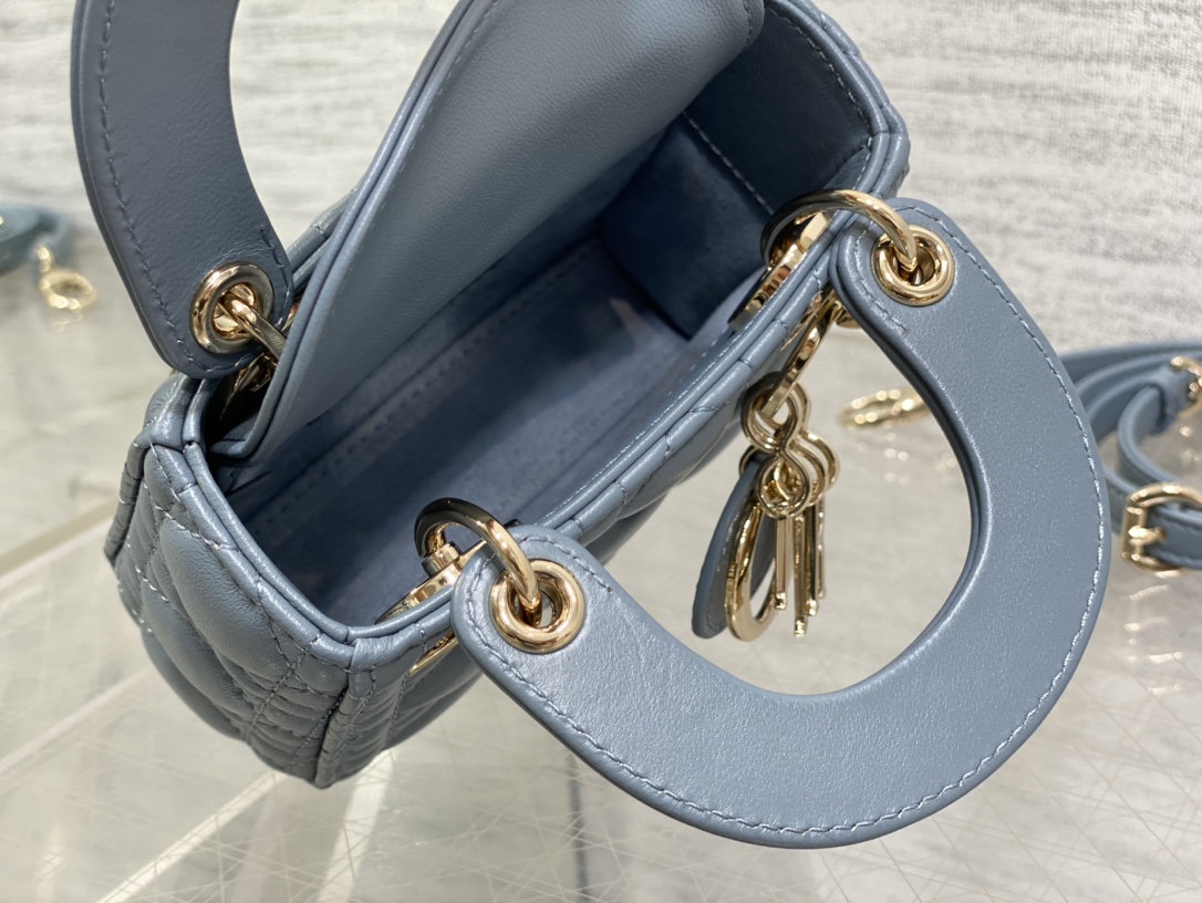 lady D*or micro bag