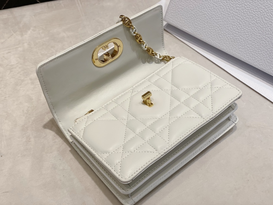 D*or miss caro mini bag