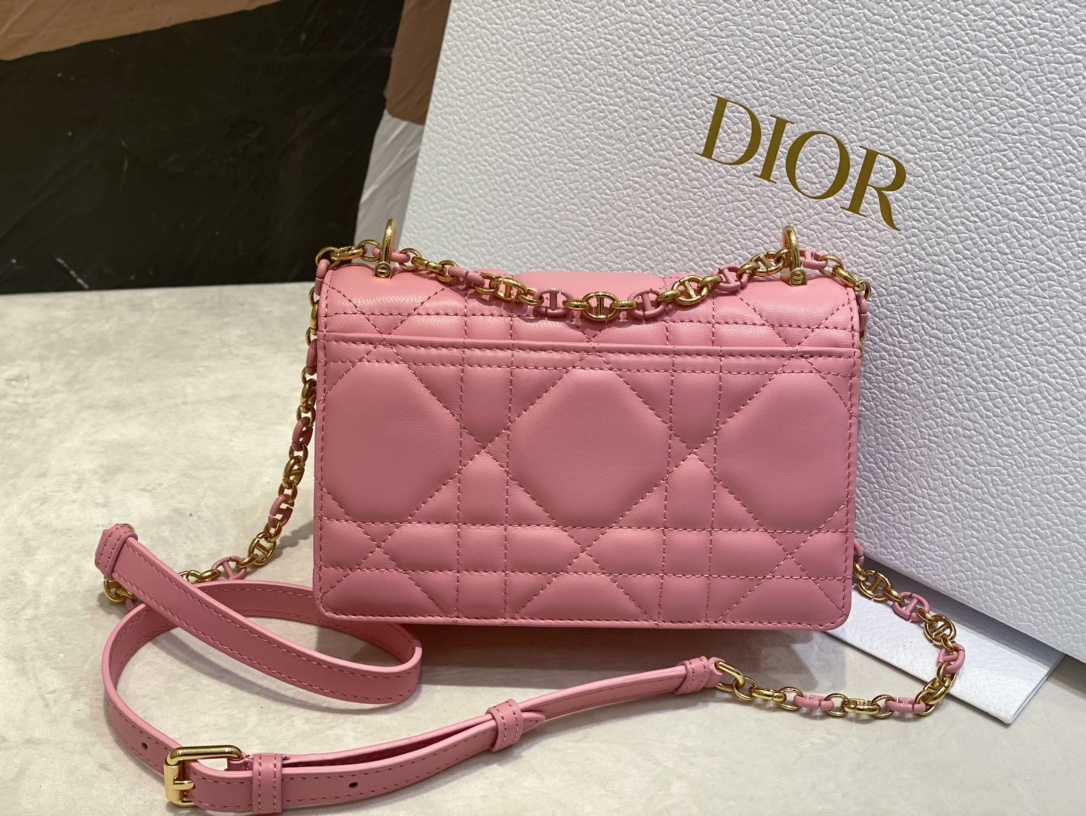 D*or miss caro mini bag