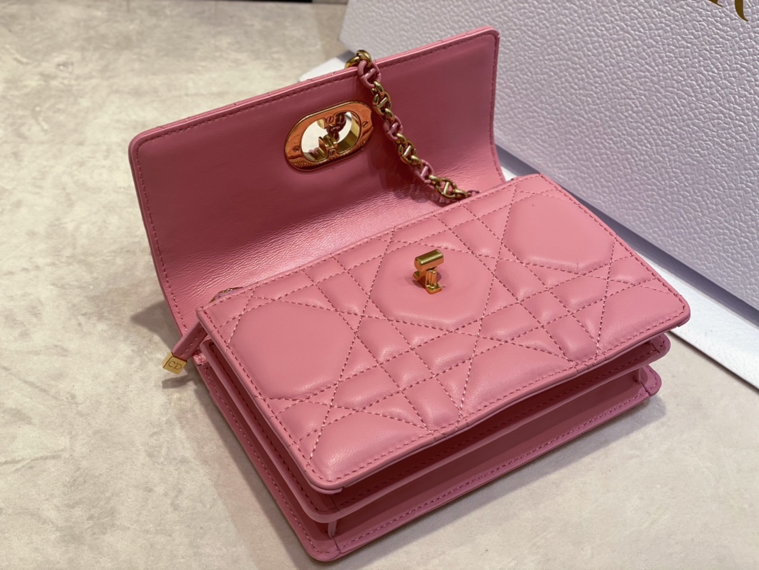 D*or miss caro mini bag