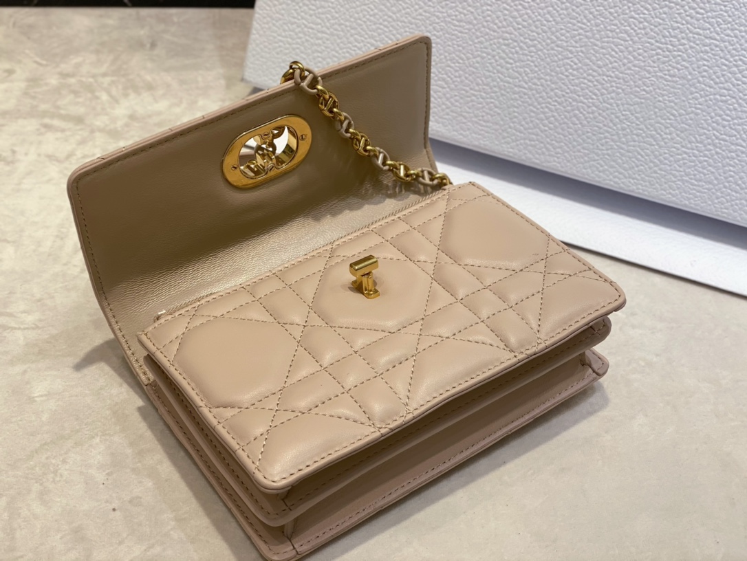 D*or miss caro mini bag