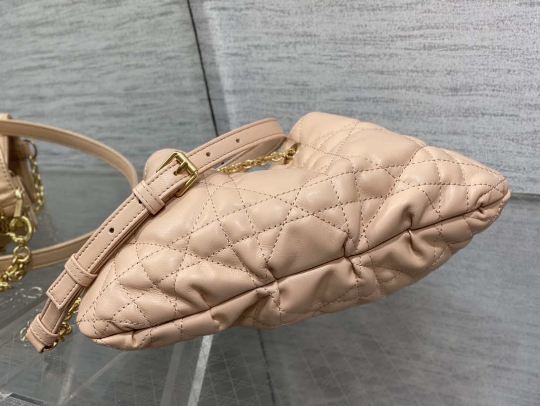 small D*or ammi bag