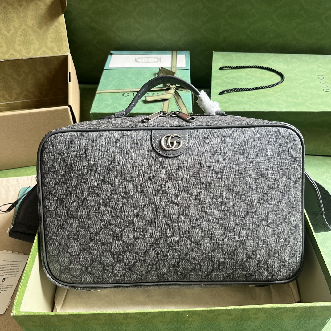 OPHIDIA GG SHOE CASE