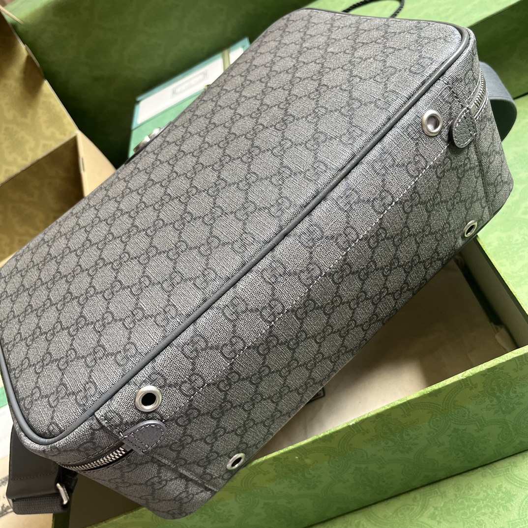 OPHIDIA GG SHOE CASE