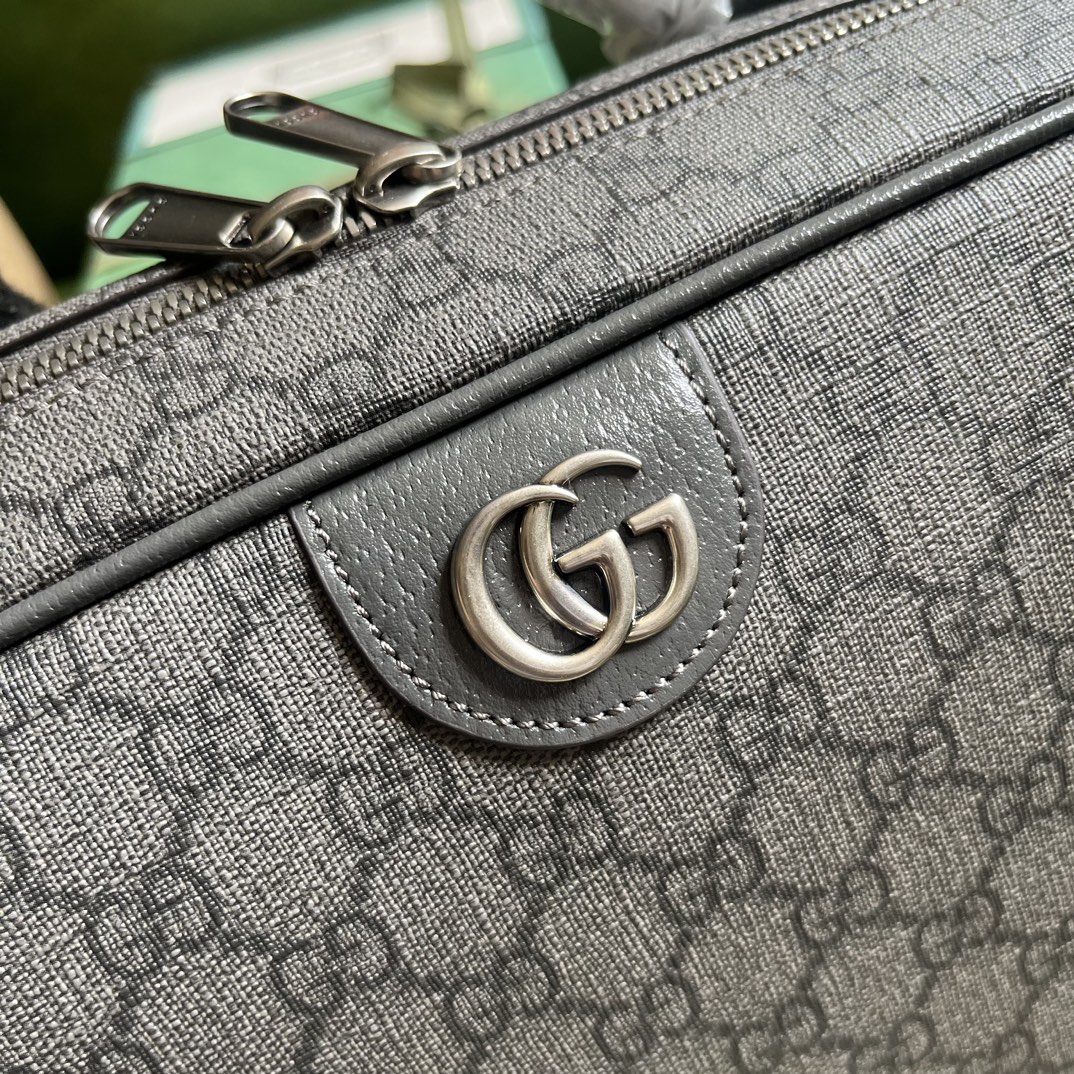 OPHIDIA GG SHOE CASE
