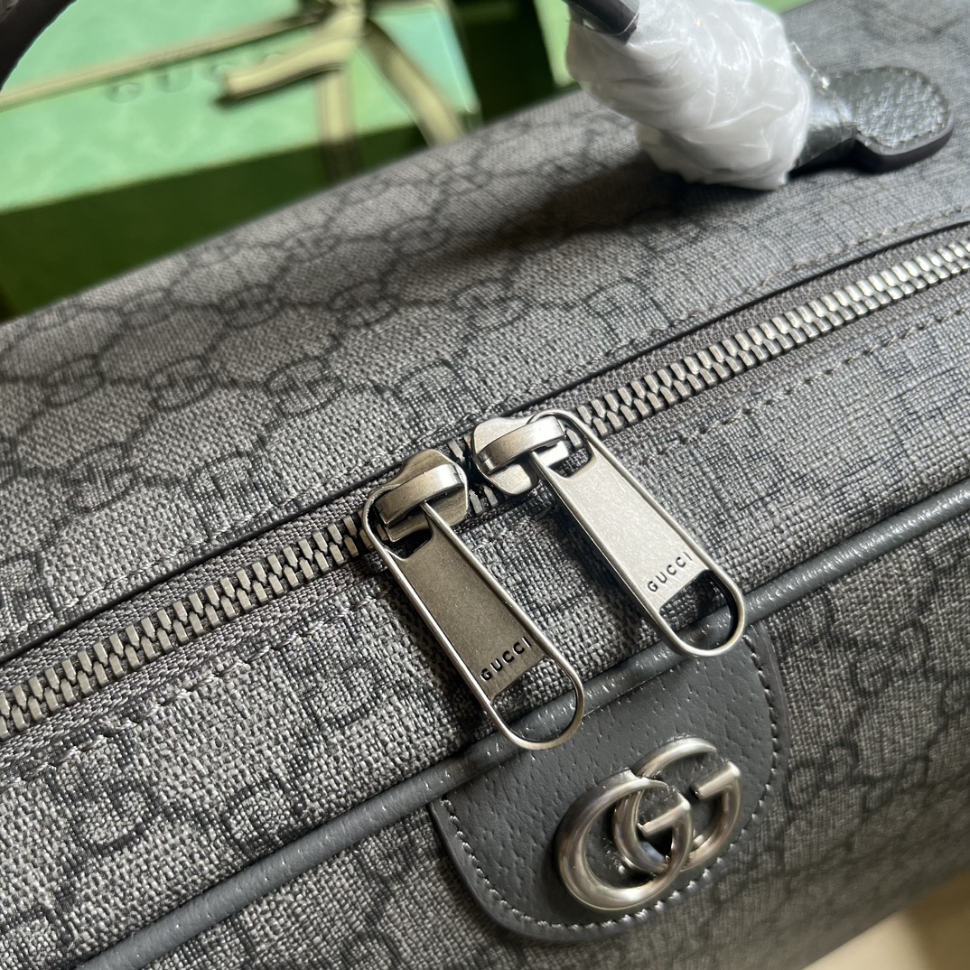 OPHIDIA GG SHOE CASE