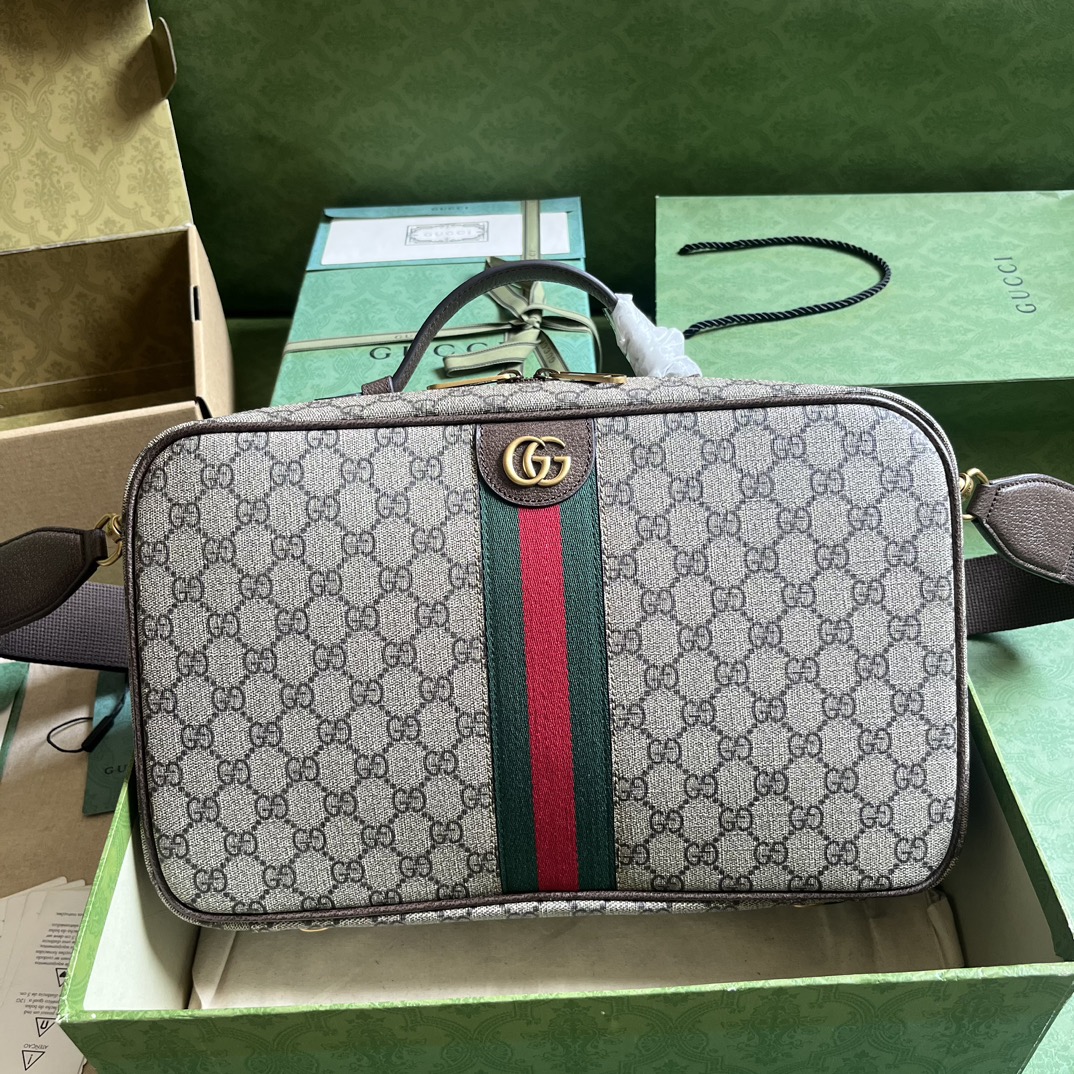 OPHIDIA GG SHOE CASE