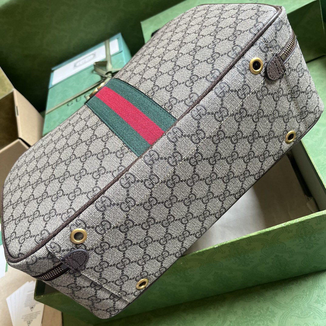 OPHIDIA GG SHOE CASE