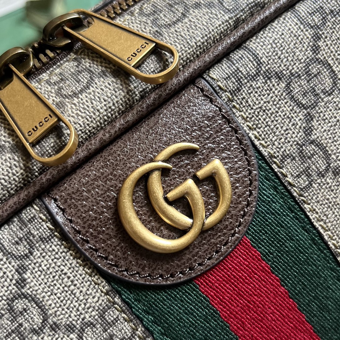OPHIDIA GG SHOE CASE