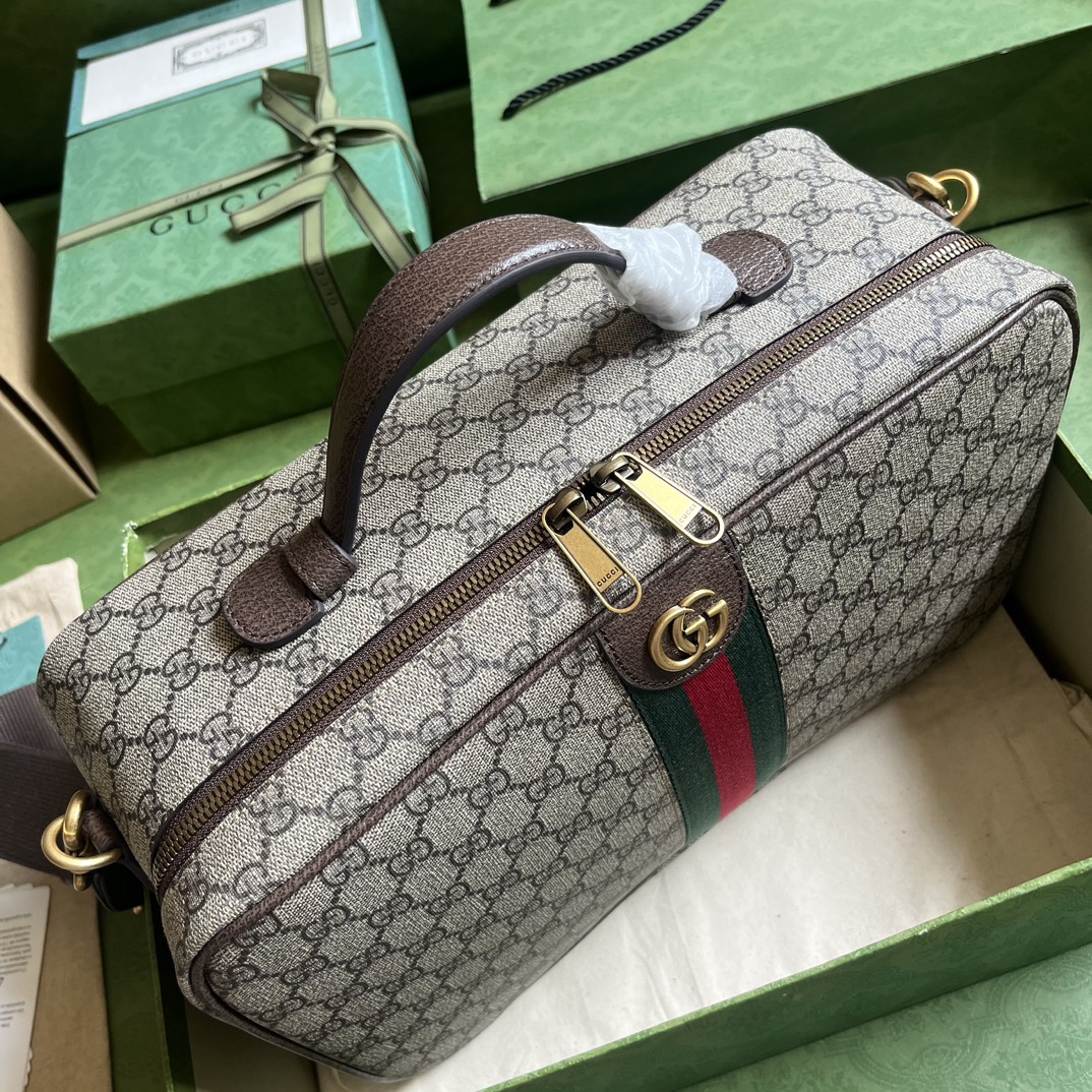 OPHIDIA GG SHOE CASE
