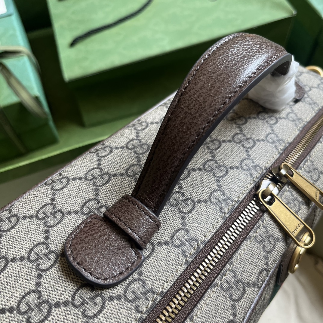 OPHIDIA GG SHOE CASE