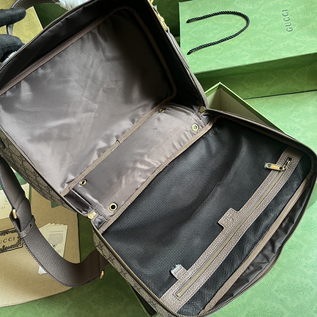 OPHIDIA GG SHOE CASE