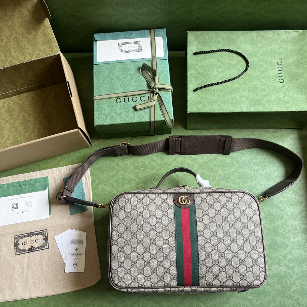 OPHIDIA GG SHOE CASE