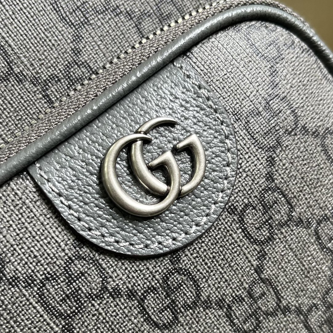 G*u*i ophidia gg mini bag