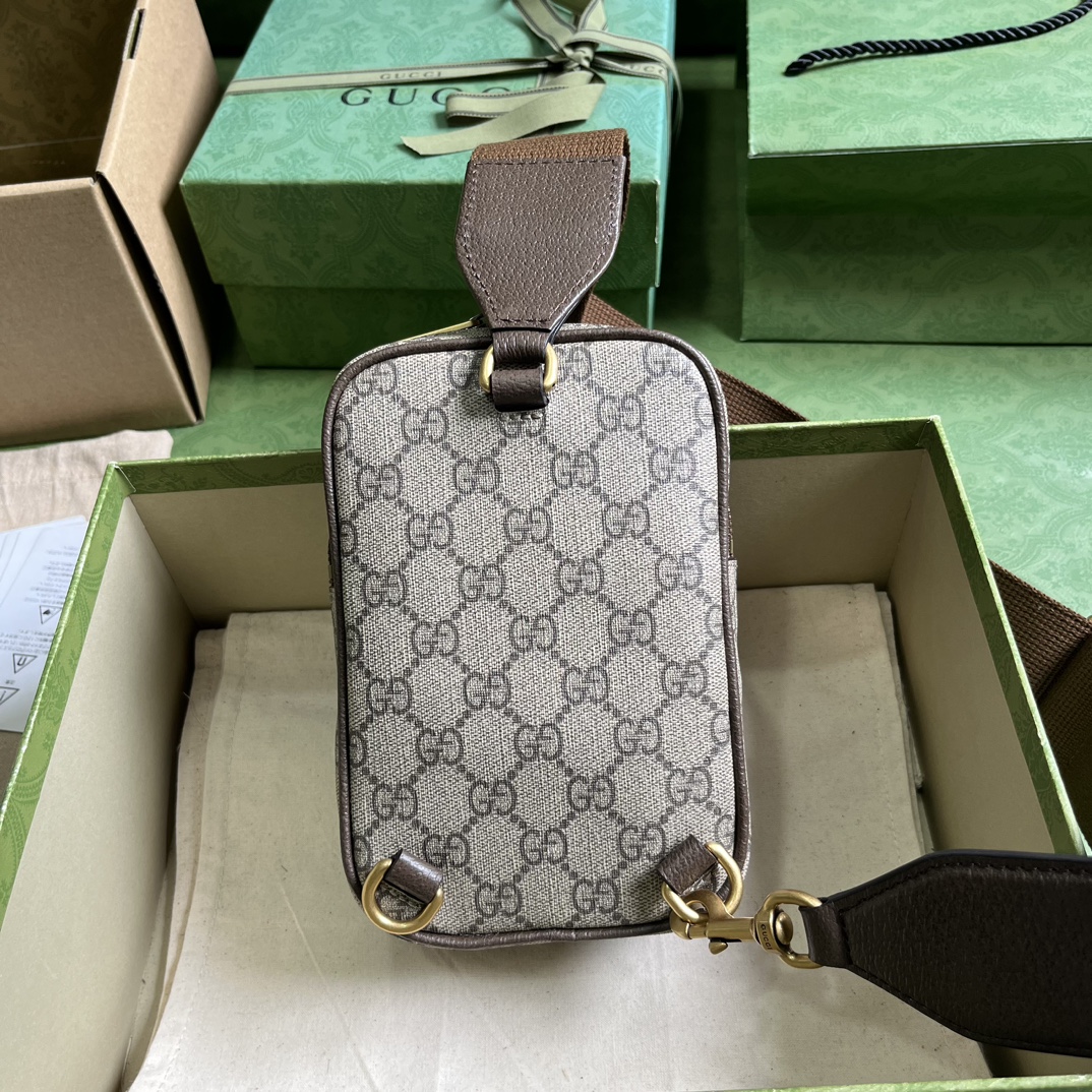 G*u*i ophidia gg mini bag