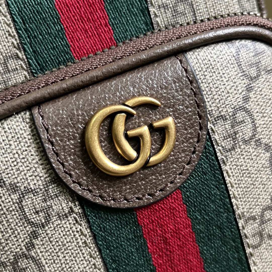 G*u*i ophidia gg mini bag