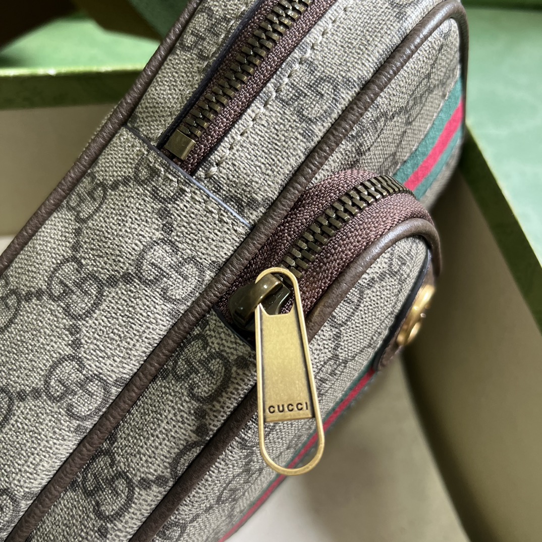 G*u*i ophidia gg mini bag