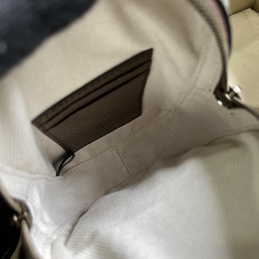 G*u*i ophidia gg mini bag