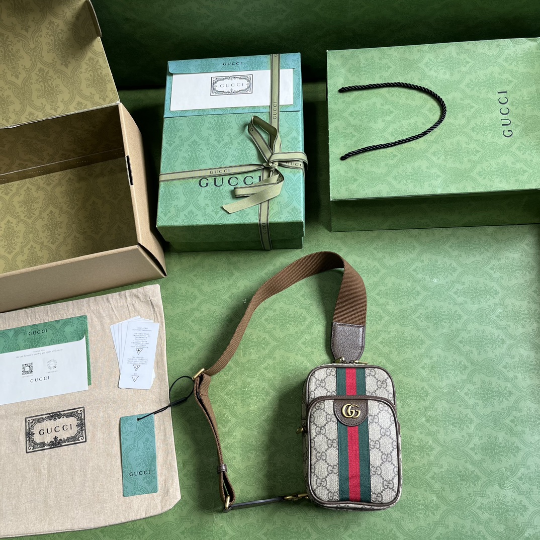 G*u*i ophidia gg mini bag