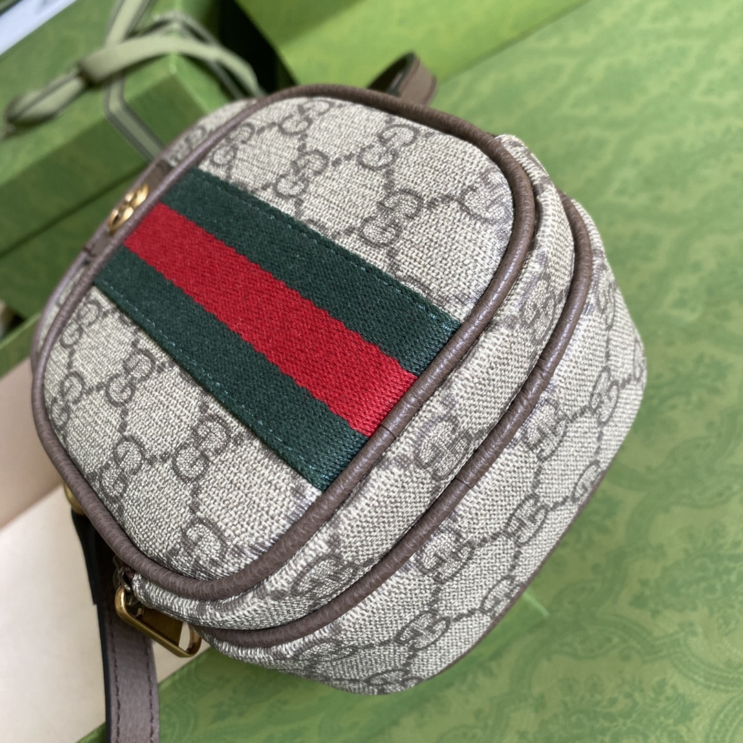 G*u*i ophidia mini bag