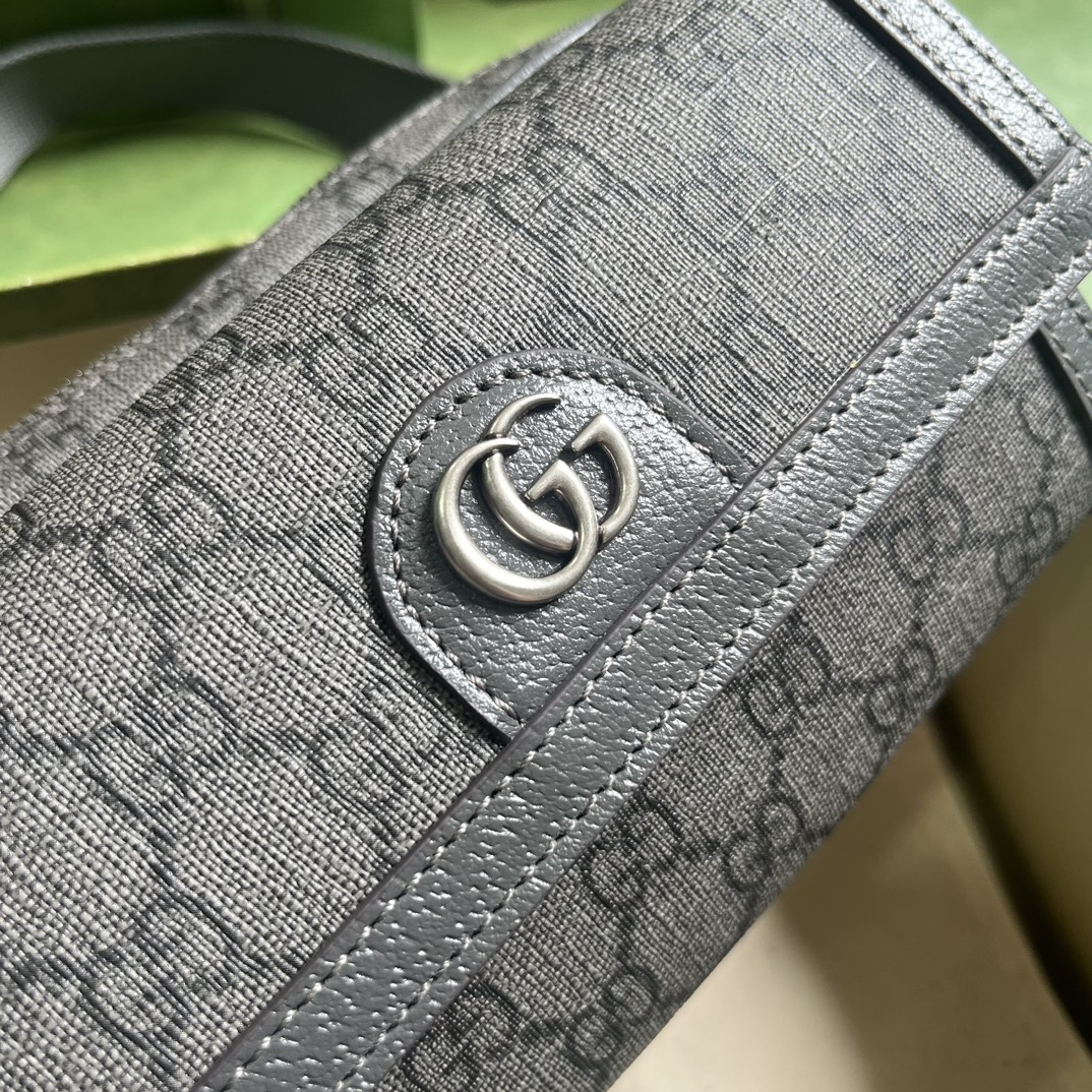 G*u*i ophidia gg mini bag