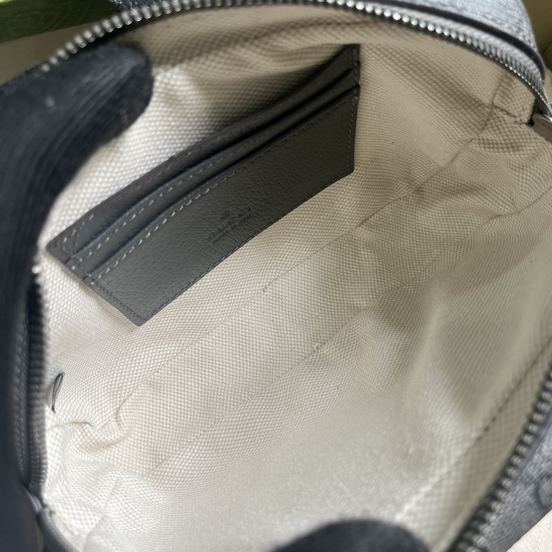 G*u*i ophidia gg mini bag