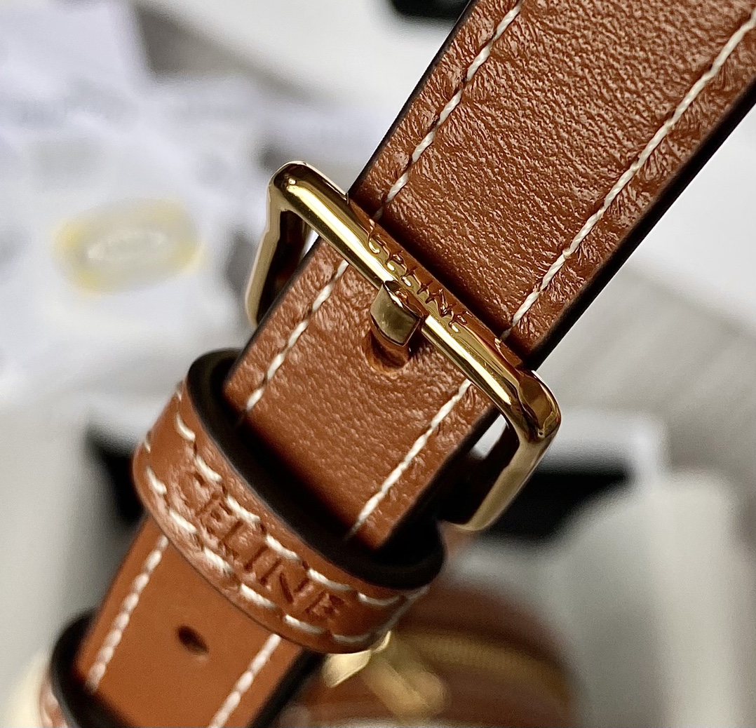 Ceeline Triomphe Bag