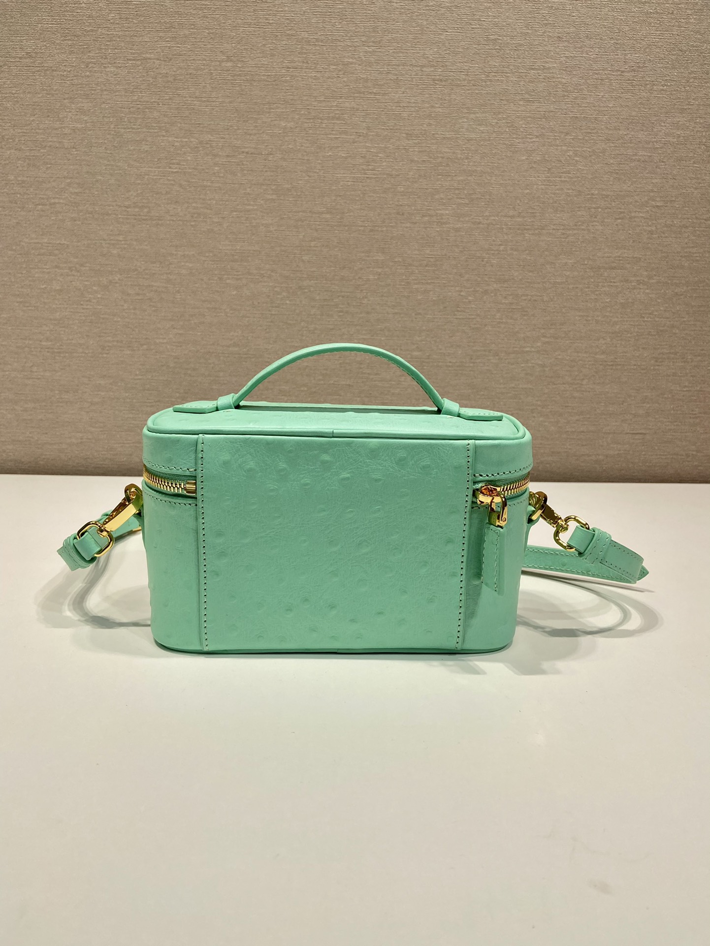Pra*a leather mini-bag